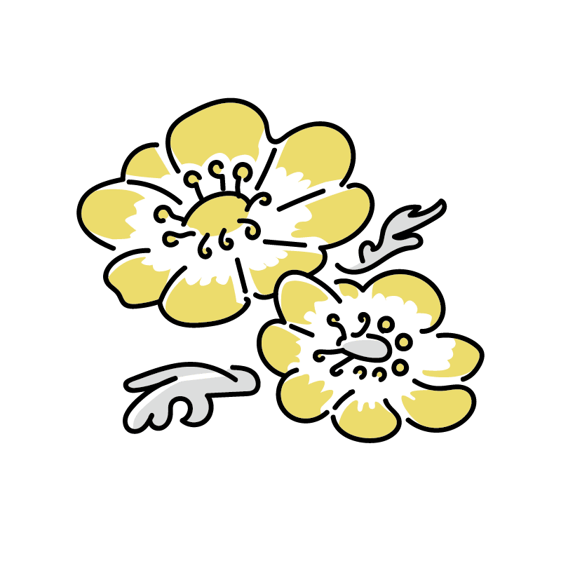 お悔やみの言葉 - 喪服レンタル ナゴヤ