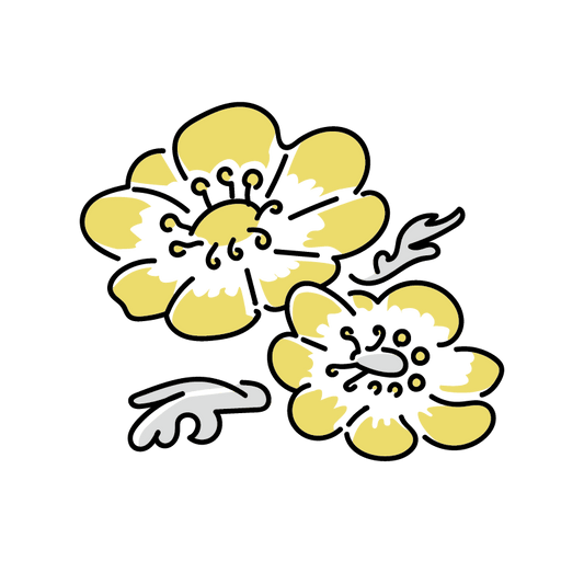 お悔やみの言葉 - 喪服レンタル　ナゴヤ